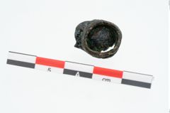 Foto von Bronzering (NHMW-PRAE-025204)